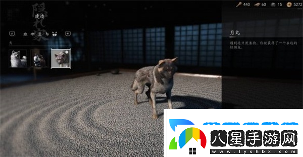 刺客信條影忠犬伸冤支線(xiàn)任務(wù)攻略推薦