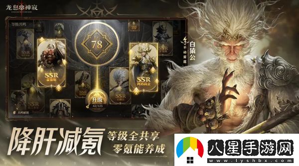 龍息神寂專(zhuān)屬神器怎么樣