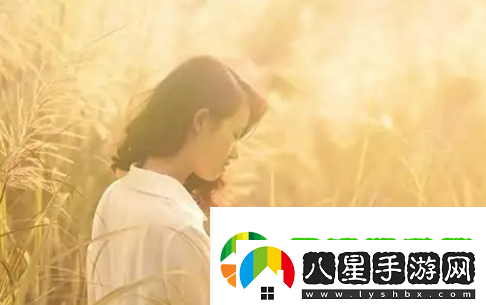 fi11cnn實(shí)驗室免費2023官方下載