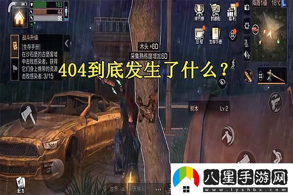 爐石傳說(shuō)11星與10星的神秘面紗