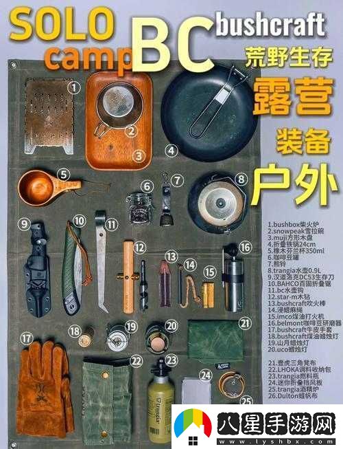 必看往日不再野外武器保存秘籍！90%玩家都不知道的生存訣竅