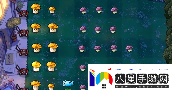 植物大戰僵尸精華版冒險模式2