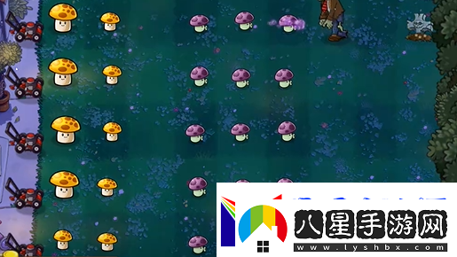 植物大戰僵尸精華版冒險模式2