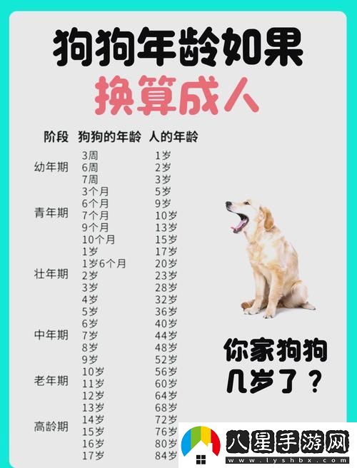 深入探討日本Mindup狗與人類(lèi)狗的區別
