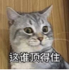 游時(shí)光機
