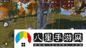 和平精英野餐彩蛋位置一覽系統經(jīng)驗值獲取最大化方案