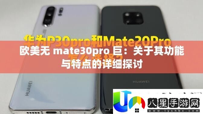 歐美mate30pro巨無(wú)霸功能詳解與特點(diǎn)對比