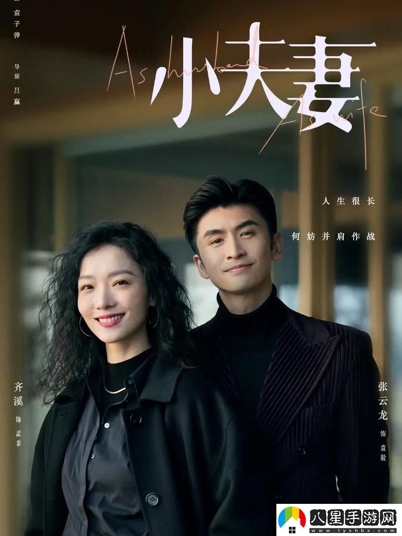 適合夫妻二人看的小眾影視劇推薦