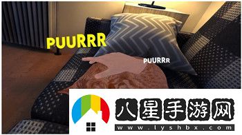 戰魂銘人神秘人有什么用