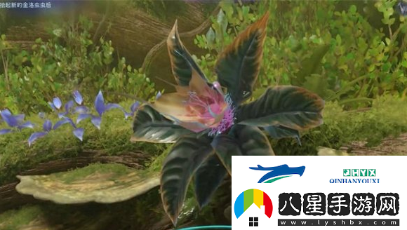 阿凡達潘多拉邊境一路順風(fēng)第一部分怎么做