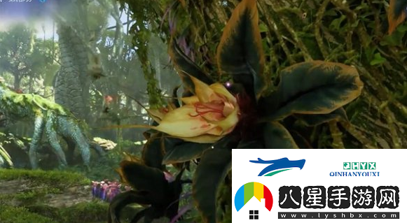 阿凡達潘多拉邊境一路順風(fēng)第一部分怎么做