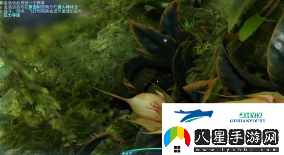 阿凡達潘多拉邊境一路順風(fēng)第一部分怎么做