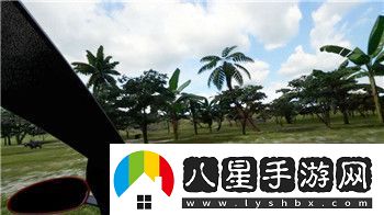 我做夫人那些年