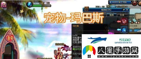DNF手游寵物進(jìn)化攻略