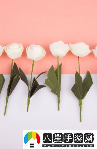 不需下載直接觀(guān)看撲撲視頻獨享版